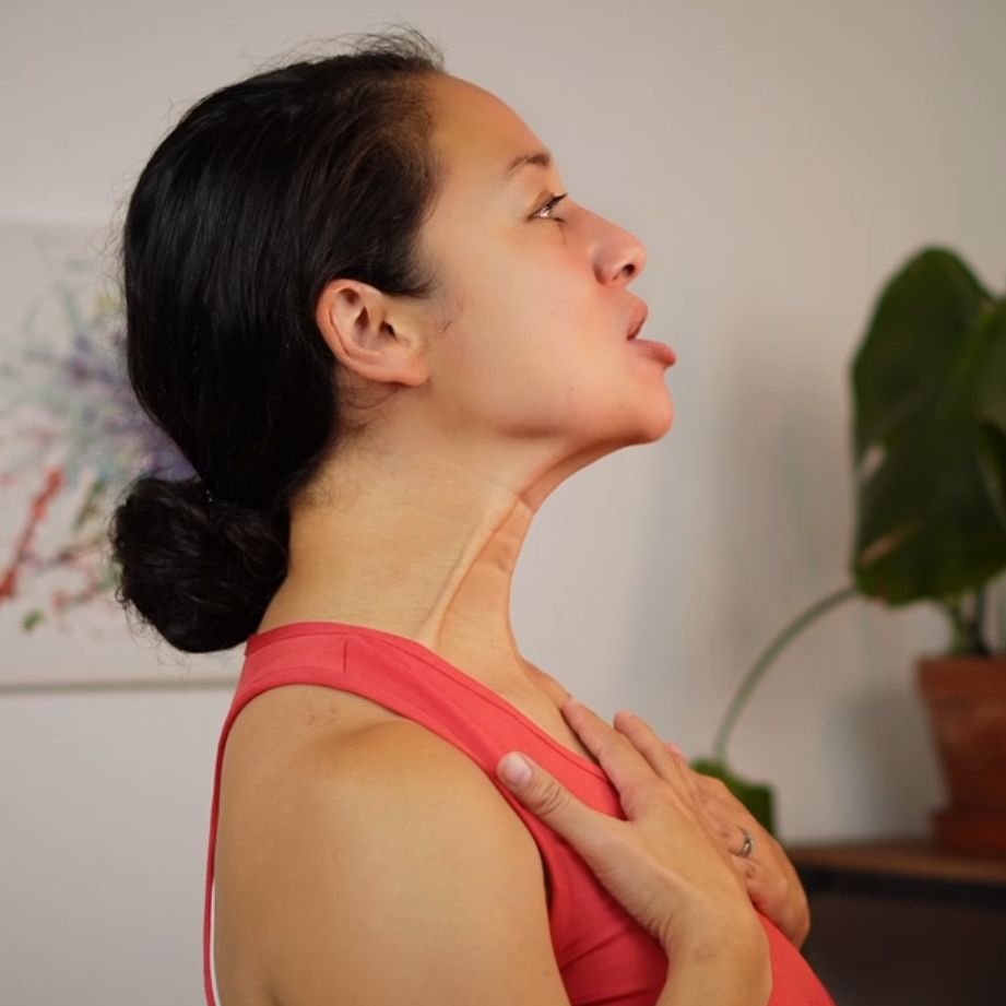 Dvojitá brada a krk